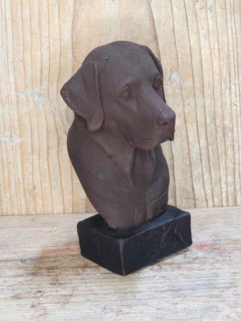 ChocingGood Labrador Honden Dierenliefhebber