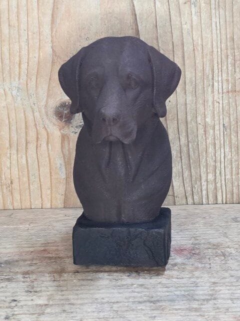 ChocingGood Labrador Honden Dierenliefhebber